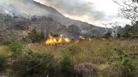 El Gran Incendio de la Ciudad de Mapungubwe: Un Cambio Radical en las Rutas Comerciales y el Surgimiento del Imperio Monomotapa.