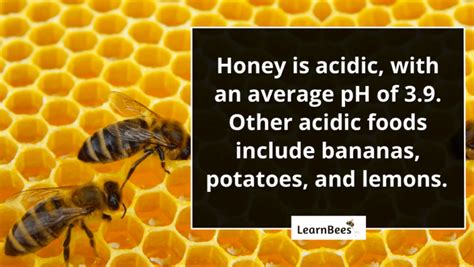 is honey alkaline or acidic