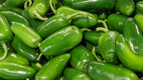 is jalapeno a fruit or vegetable