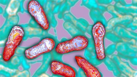 にんにく 醤油漬け ボツリヌス菌: 食文化と微生物の微妙な関係